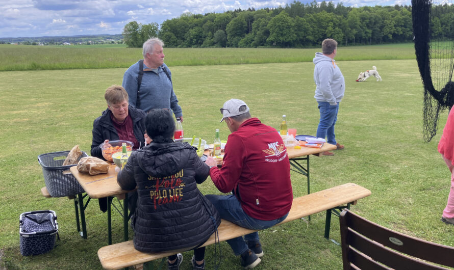 Vatertagsfliegen